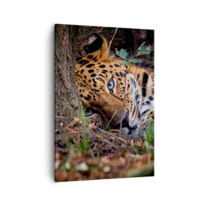 Quadro su tela - Stampe su Tela - Un leopardo sdraiato all'ombra degli alberi - 50x70cm - Fidati di me - Decorazione murale moderna per soggiorno e camera da letto ARTTOR
