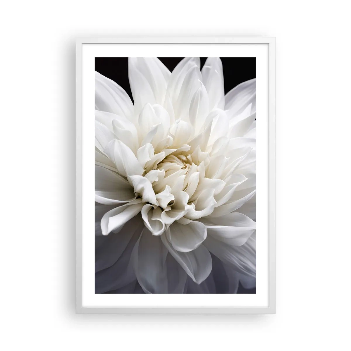 Poster in cornice bianca - Il mattino della sposa - 50x70 cm