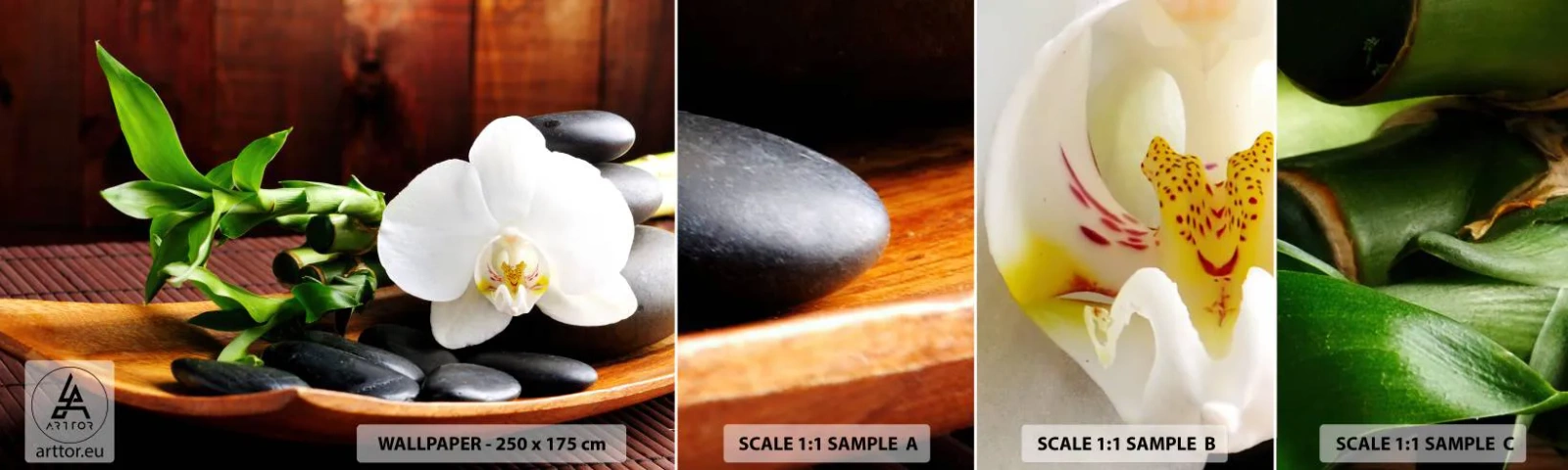 Campione Di Fotomurale Standard Eco - Lasciati toccare dalla natura - Fiori, Orchidea, Orchidea - 100x30 cm