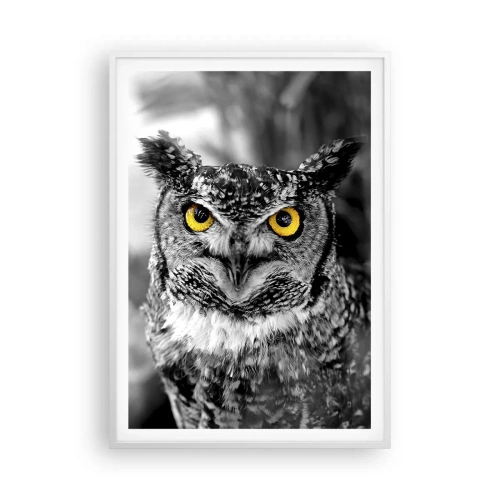 Poster in cornice bianca - Non si può nascondere niente - 70x100 cm