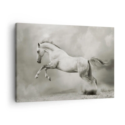 Quadro su tela - Stampe su Tela - Un cavallo bianco in un salto dinamico sullo sfondo di nuvole nebbiose. - 70x50cm - Tra la veglia e il sonno, - Decorazione murale moderna per soggiorno e camera da letto ARTTOR
