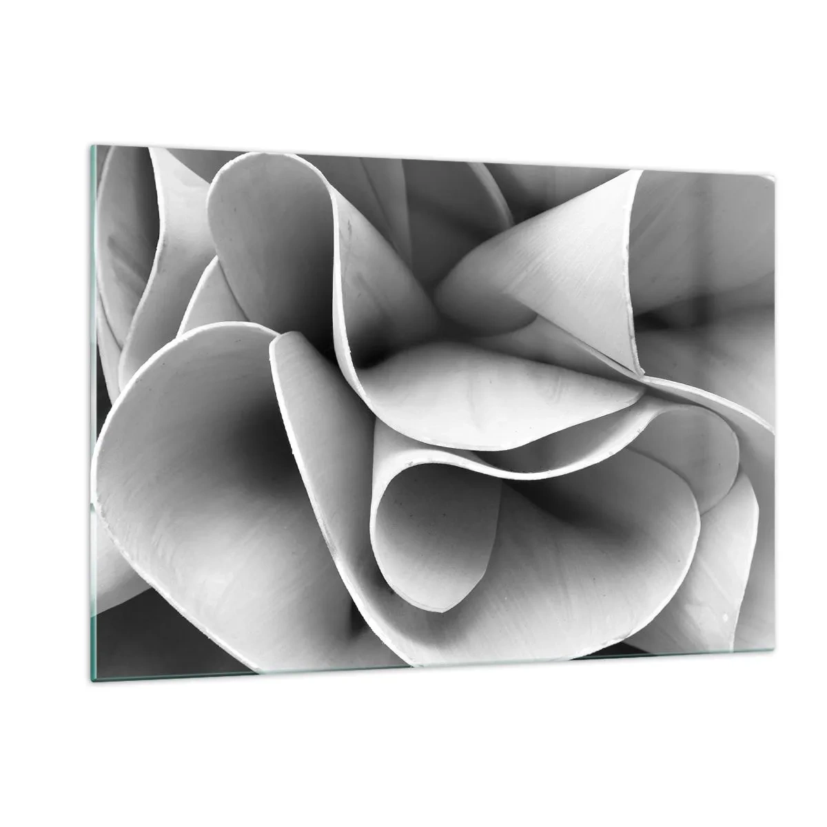Quadro su vetro - Primo piano in bianco e nero di forme a spirale astratte - 120x80cm - Avviene nello spazio - Decorazione murale moderna per soggiorno e camera da letto ARTTOR