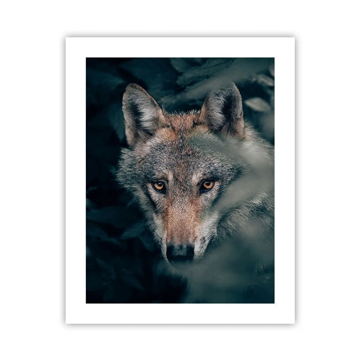 Poster - Cacciatore - 40x50 cm