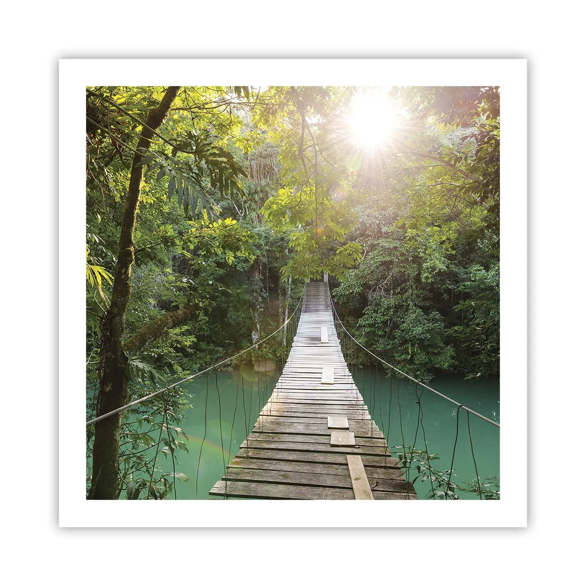 Poster - Sull'acqua azzurra verso il bosco azzurro - 60x60 cm