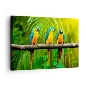 Quadro su tela - Stampe su Tela - Tre pappagalli colorati su uno sfondo di vegetazione tropicale - 70x50cm - Hai sentito che ha fatto? - Decorazione murale moderna per soggiorno e camera da letto ARTTOR