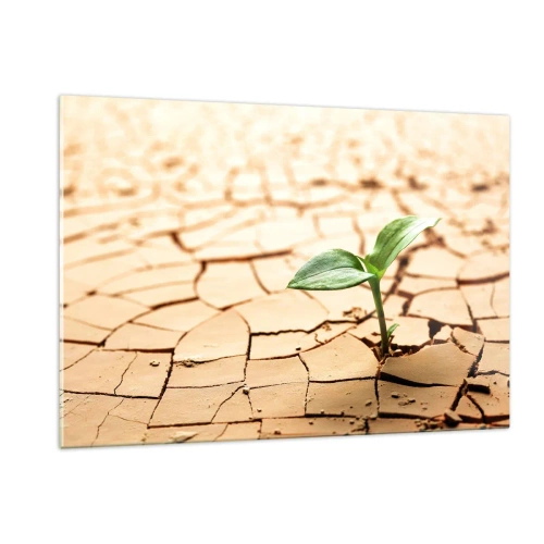 Quadro su vetro - Una giovane pianta che cresce da una terra secca e screpolata - 120x80cm - L'indomita forza della vita - Decorazione murale moderna per soggiorno e camera da letto ARTTOR