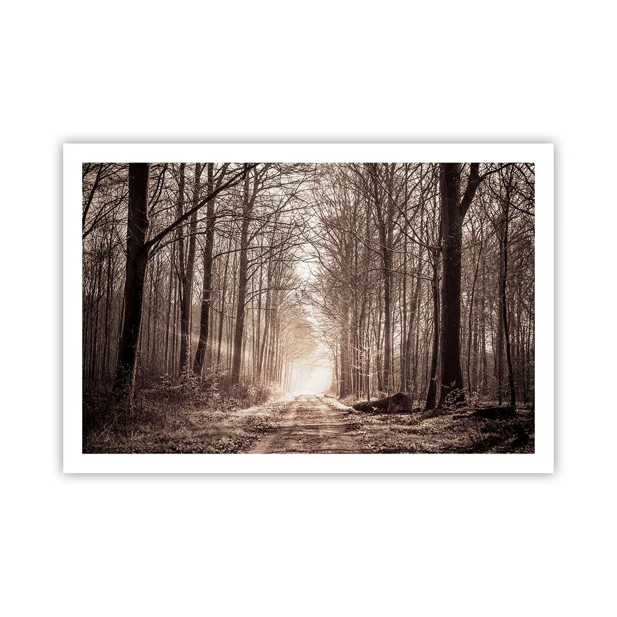 Poster - La cattedrale del bosco - 91x61 cm