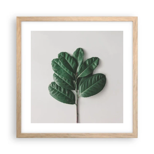 Poster in cornice rovere chiaro - Il disegno della natura stessa - 40x40 cm