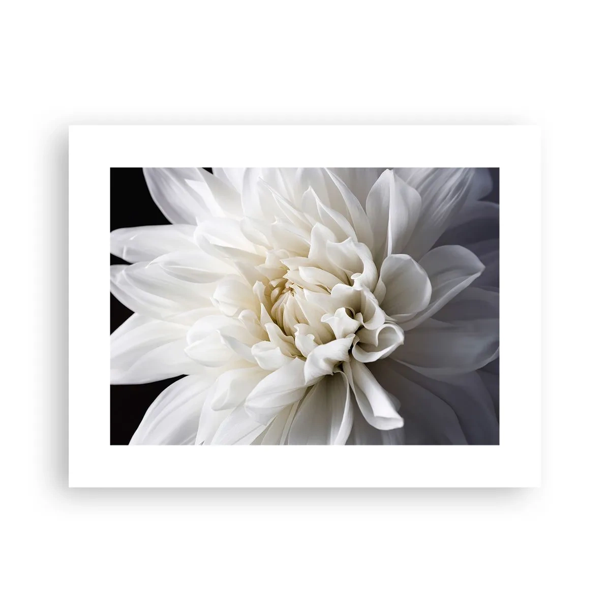 Poster - Il mattino della sposa - 40x30 cm