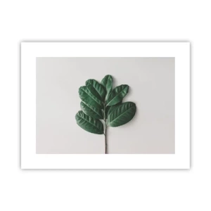 Poster - Il disegno della natura stessa - 40x30 cm
