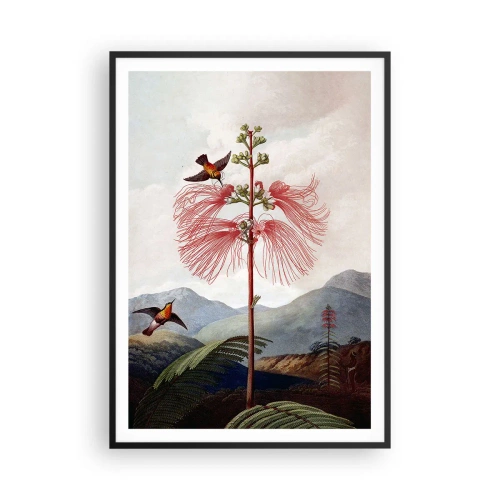 Poster in cornice nera - Nel paradiso tropicale - 70x100 cm