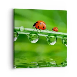 Quadro su tela - Stampe su Tela - In cammino per tutta l'estate - 30x30 cm