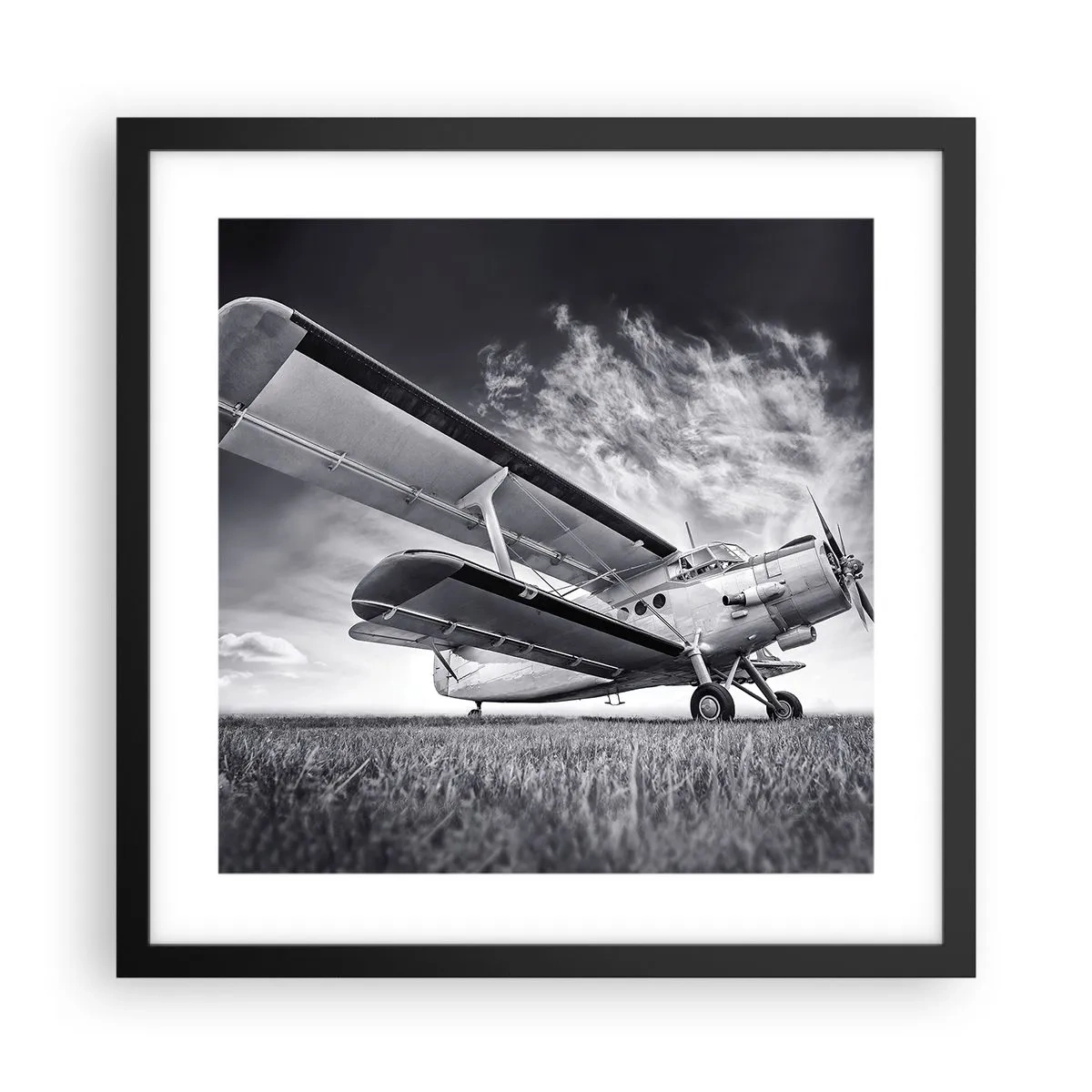 Poster in cornice nera - Giramondo alato - 40x40 cm