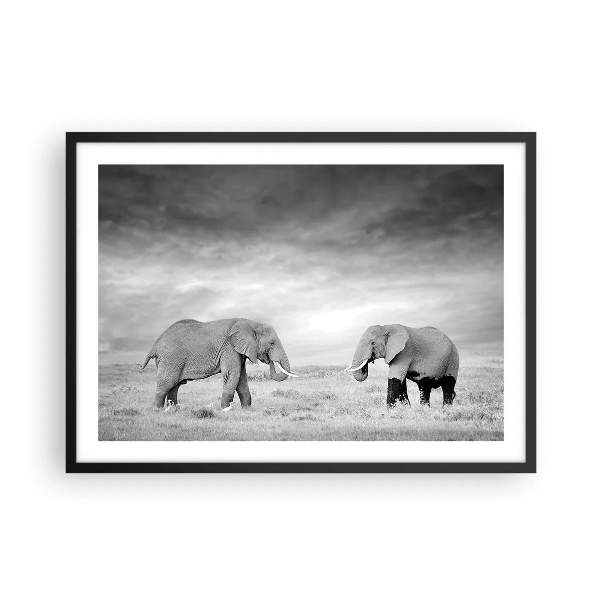 Poster in cornice nera - Due elefanti sullo sfondo della savana africana - 70x50cm - Grigio è bello - Decorazione murale moderna per soggiorno e camera da letto ARTTOR