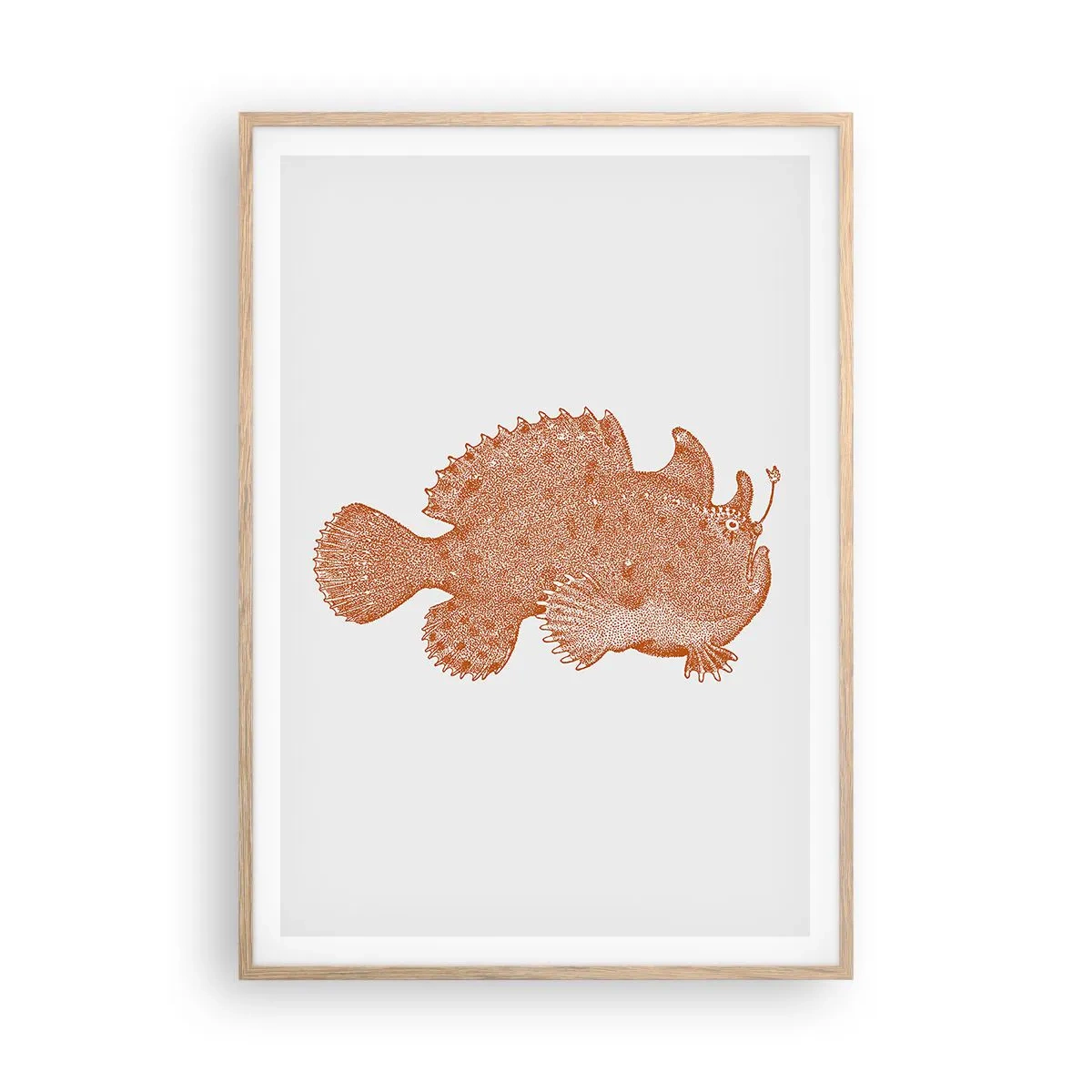 Poster in cornice rovere chiaro - È davvero un pesce - 70x100 cm