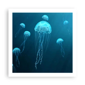 Poster - La danza oceanica - 60x60 cm