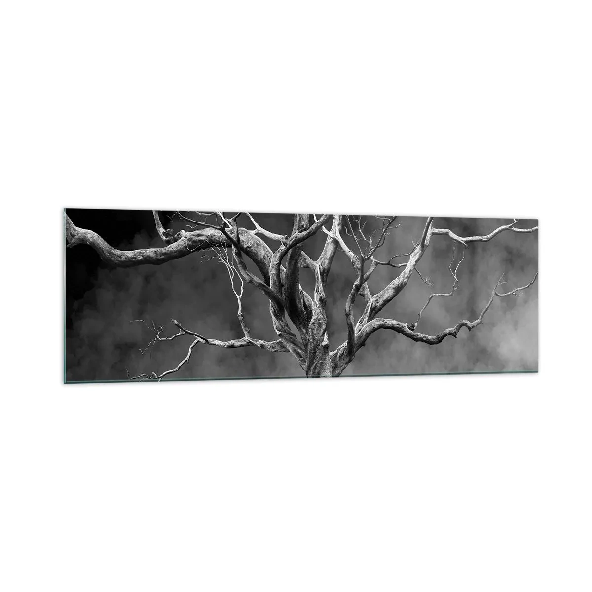 Quadro su vetro - Un albero secco in bianco e nero contro la nebbia - 160x50cm - Primordiale e sacro - Decorazione murale moderna per soggiorno e camera da letto ARTTOR