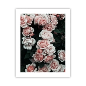 Poster - Composizione di rose - 40x50 cm