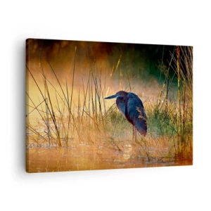 Quadro su tela - Stampe su Tela - Un airone nelle zone umide al tramonto tra le erbe alte - 70x50cm - Basta con queste foto - Decorazione murale moderna per soggiorno e camera da letto ARTTOR