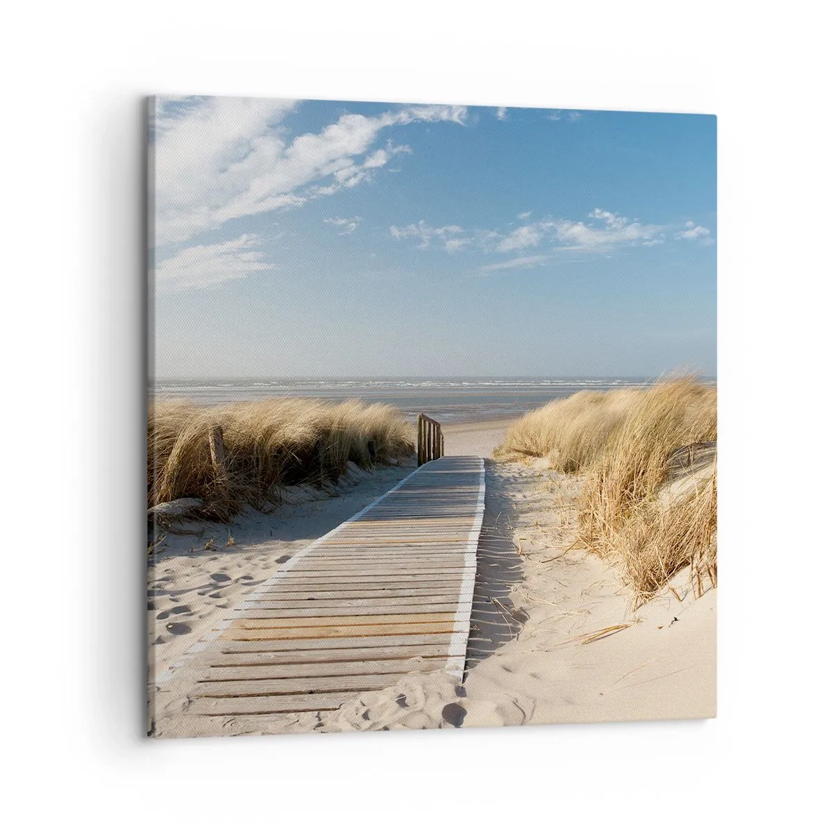 Quadro su tela - Stampe su Tela - Dopo la duna, nel fruscio dell'erba - 50x50 cm