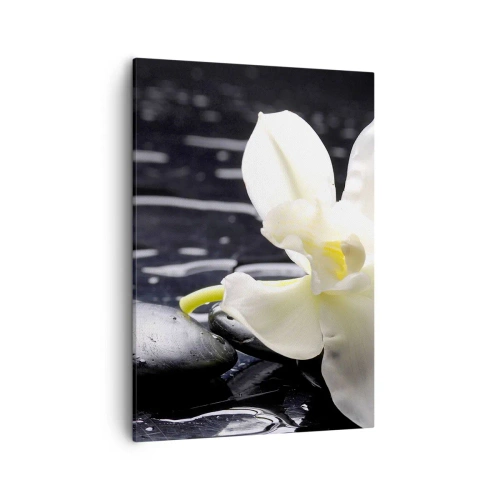 Quadro su tela - Stampe su Tela - Un'orchidea bianca su uno sfondo di pietre nere e acqua. - 50x70cm - Studio in bianco e nero - Decorazione murale moderna per soggiorno e camera da letto ARTTOR