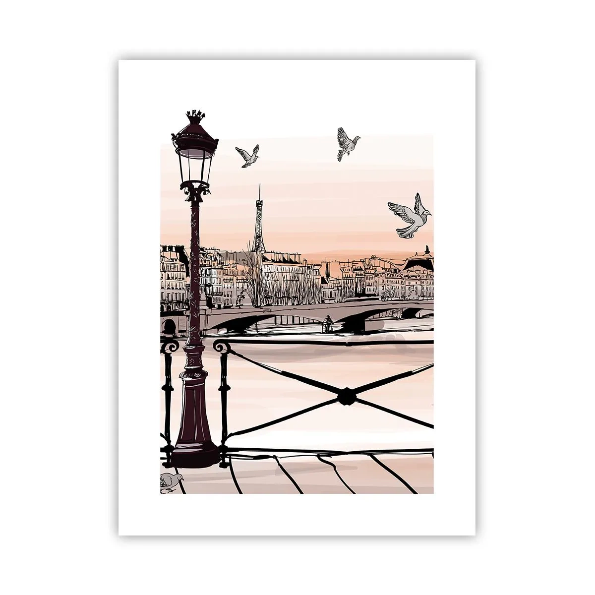 Poster - Sui tetti di Parigi - 30x40 cm
