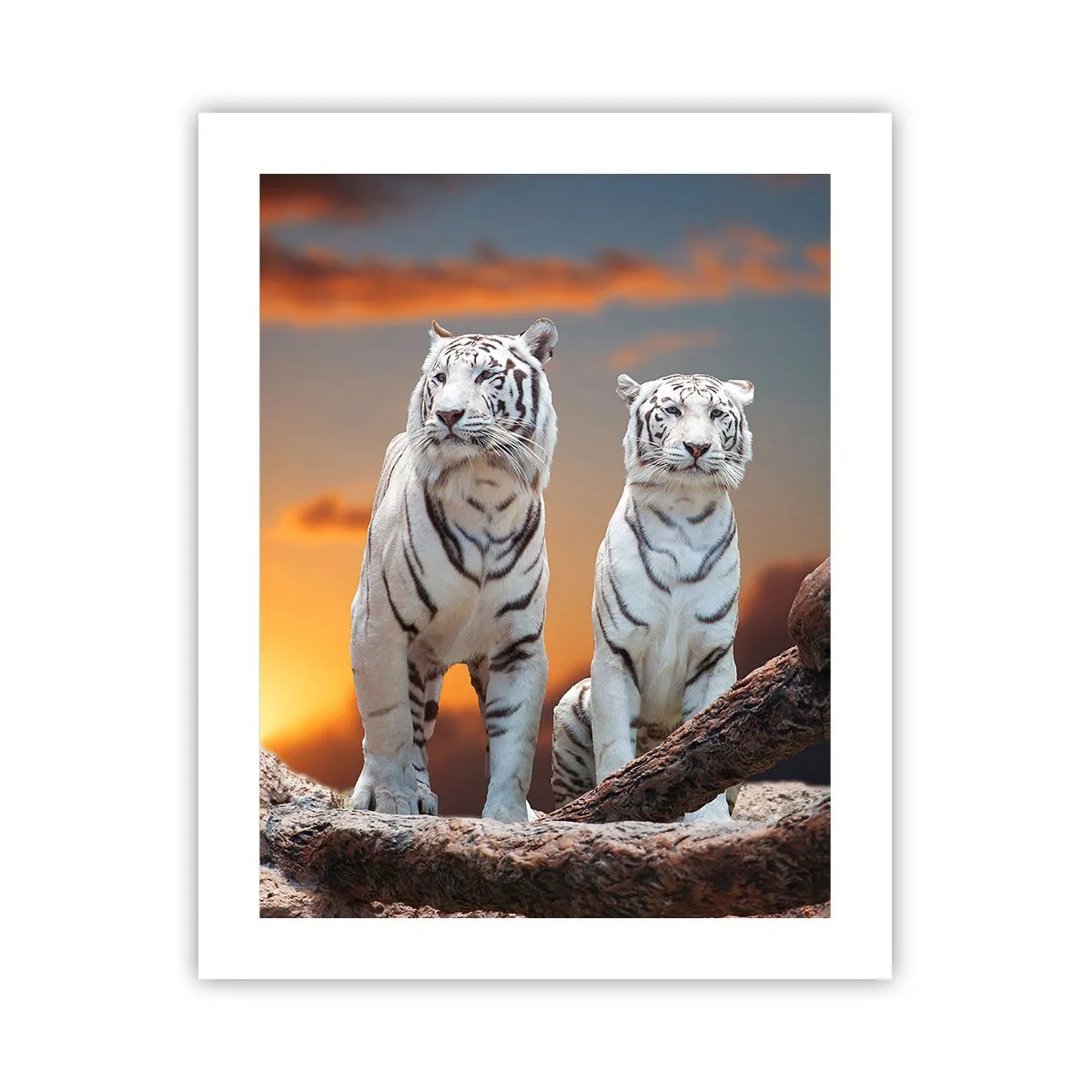 Poster - Proprio come a Narnia - 40x50 cm