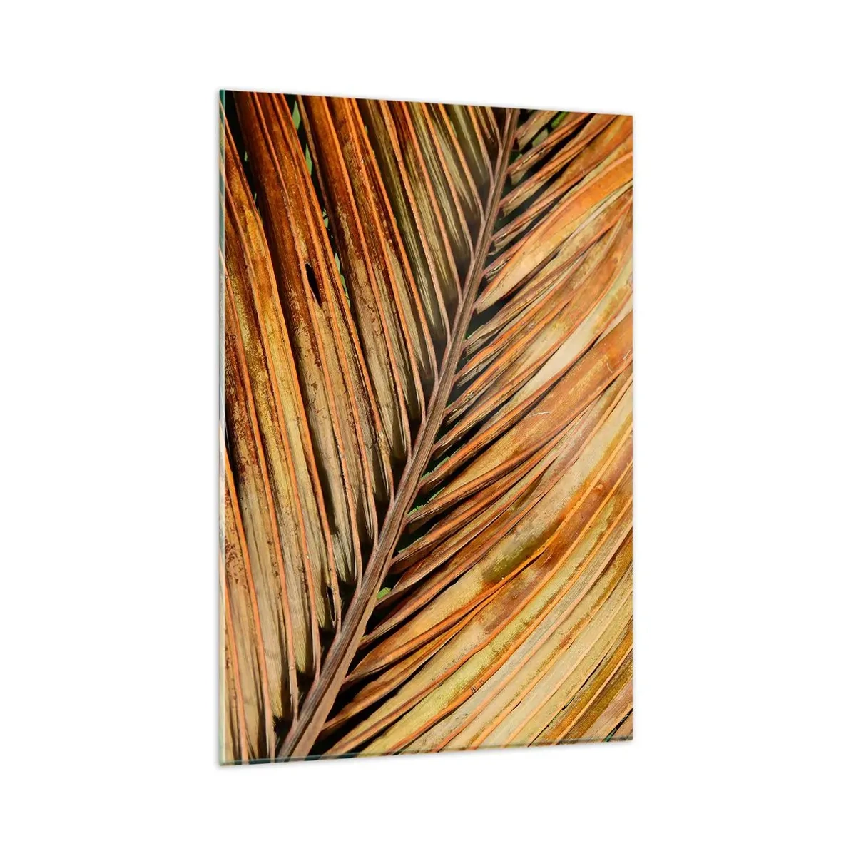 Quadro su vetro - Primo piano di una foglia di palma secca in toni caldi - 80x120cm - Oro di cocco - Decorazione murale moderna per soggiorno e camera da letto ARTTOR