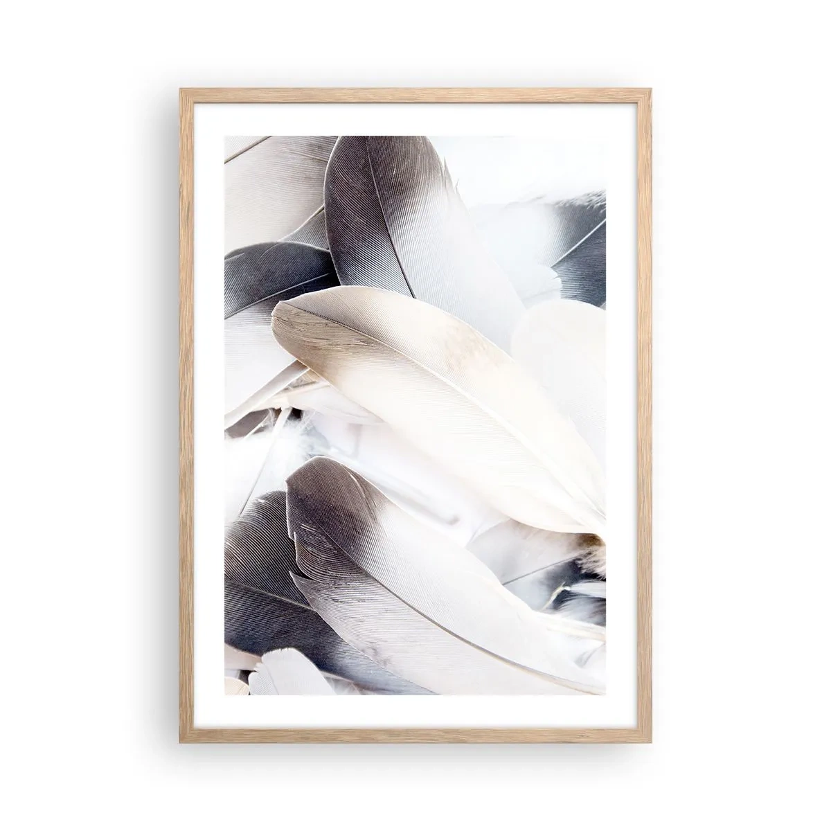 Poster in cornice rovere chiaro - Quasi angeliche - 50x70 cm