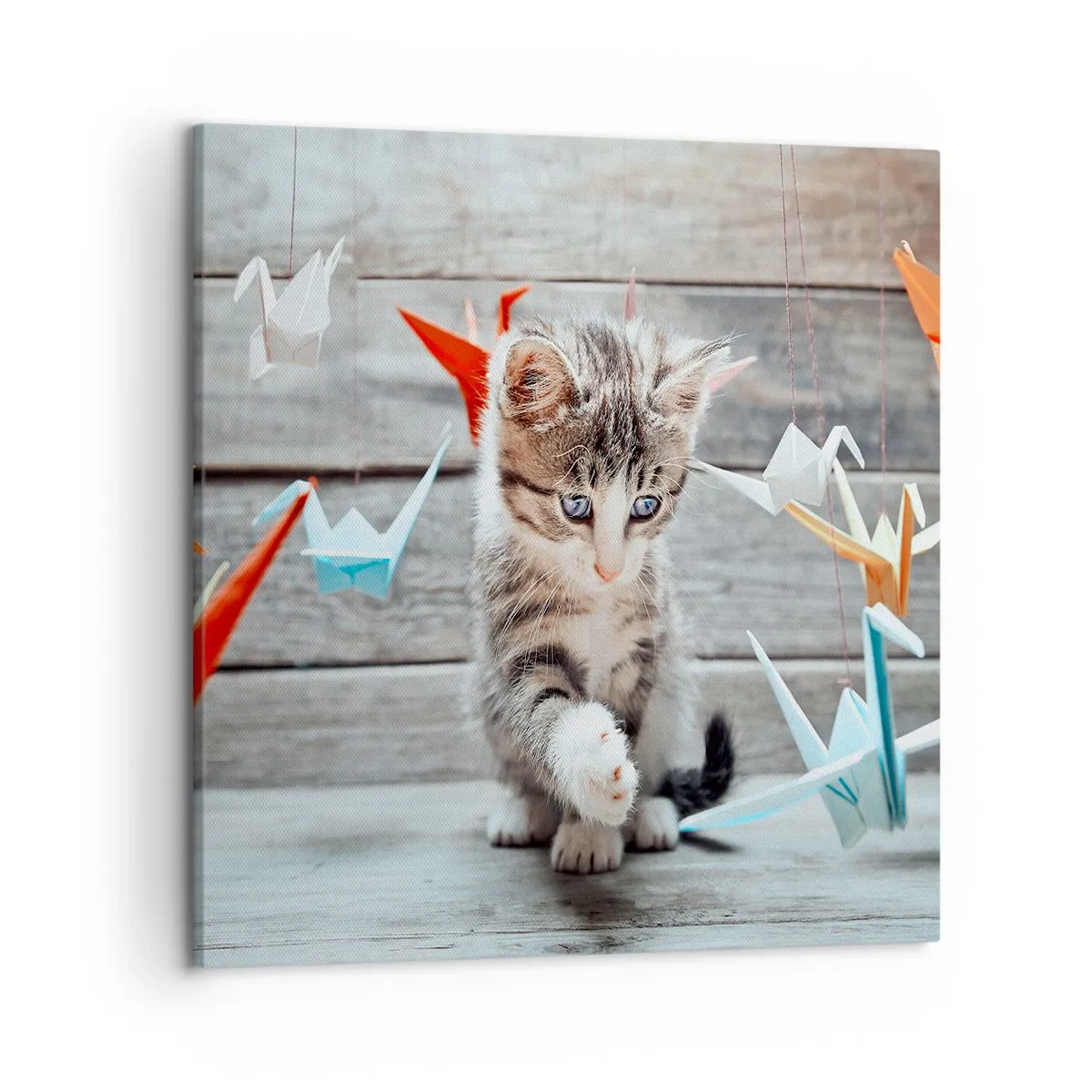 Quadro su tela - Stampe su Tela - Prima lezione - 50x50 cm