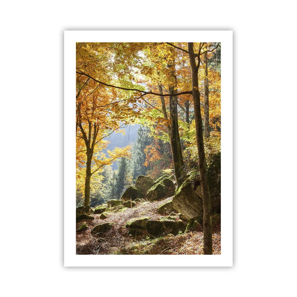 Poster - Foresta autunnale con raggi di sole e pietre coperte di muschio - 50x70cm - Il tempo del riposo - Decorazione murale moderna per soggiorno e camera da letto ARTTOR