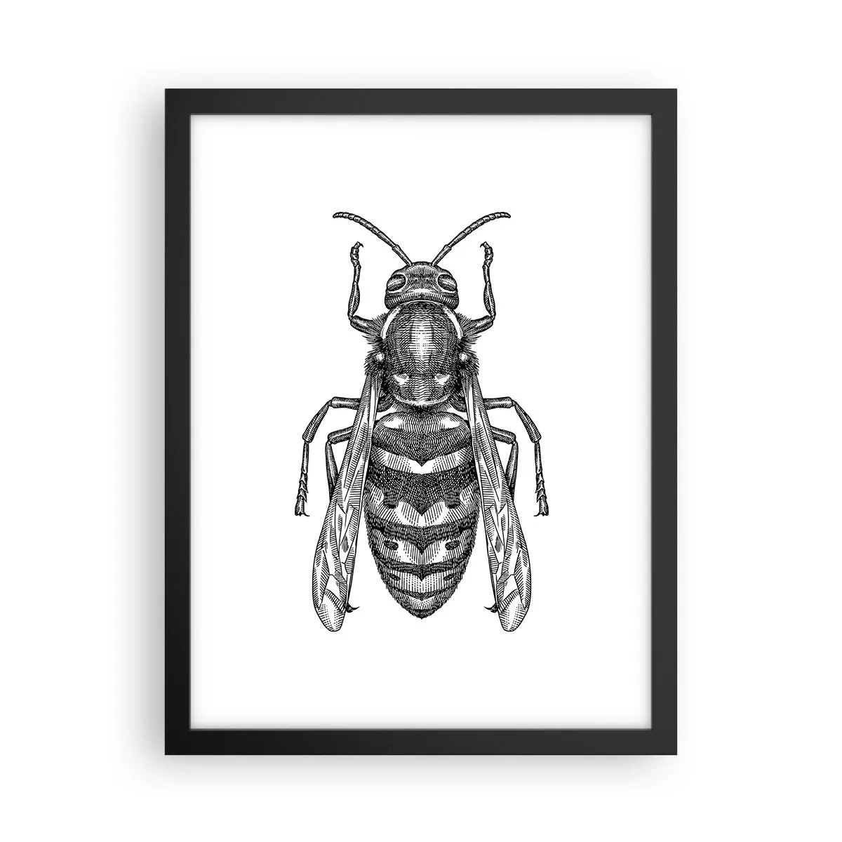 Poster in cornice nera - Dal pianeta degli insetti - 30x40 cm