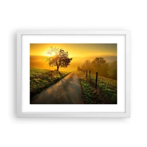 Poster in cornice bianca - Pomeriggio di miele - 40x30 cm