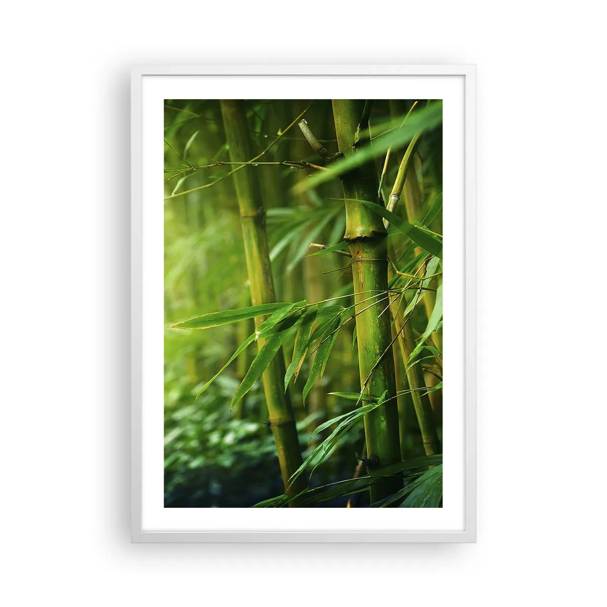 Poster in cornice bianca - Conoscere il verde in sé - 50x70 cm