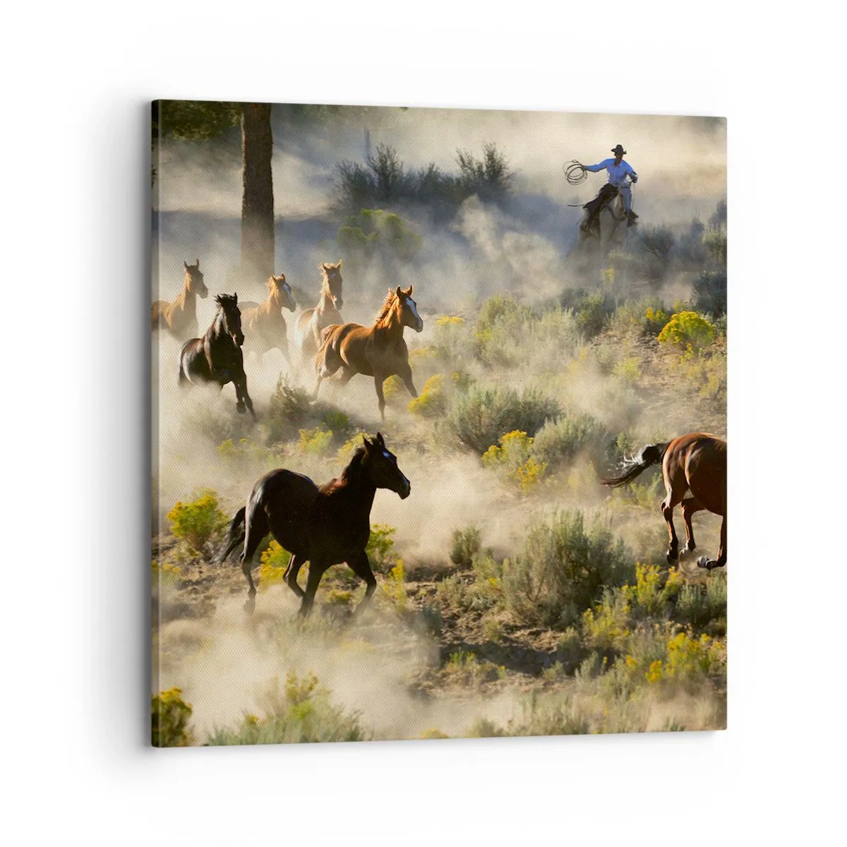 Quadro su tela - Stampe su Tela - Rivalità: libertà o forza mascolina? - 70x70 cm