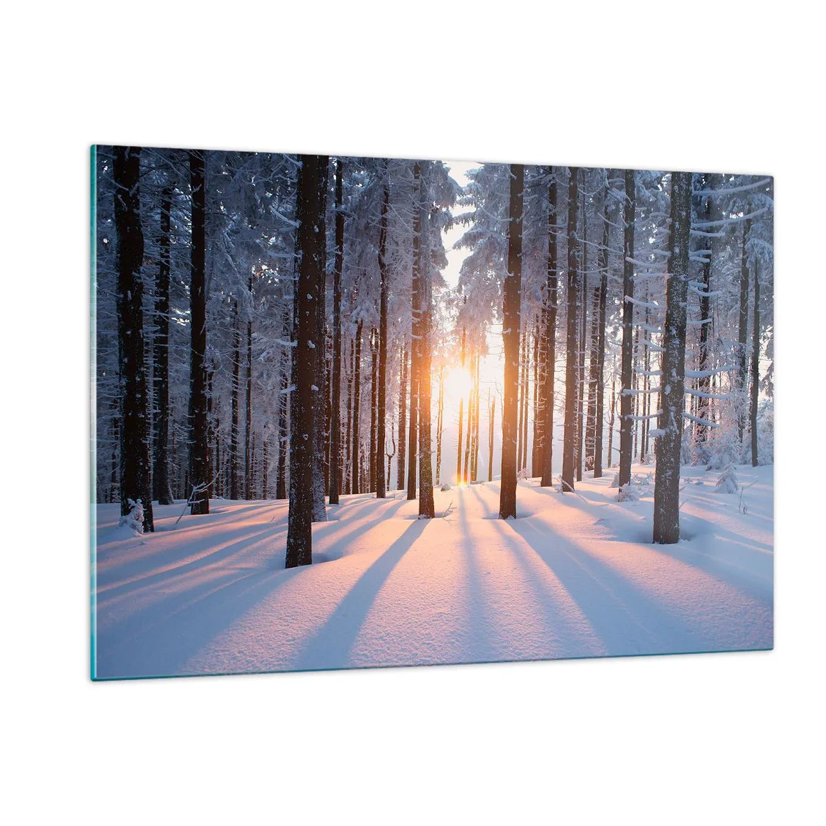 Quadro su vetro - Foresta invernale con raggi di sole che brillano attraverso gli alberi - 120x80cm - Decisamente nero su bianco - Decorazione murale moderna per soggiorno e camera da letto ARTTOR