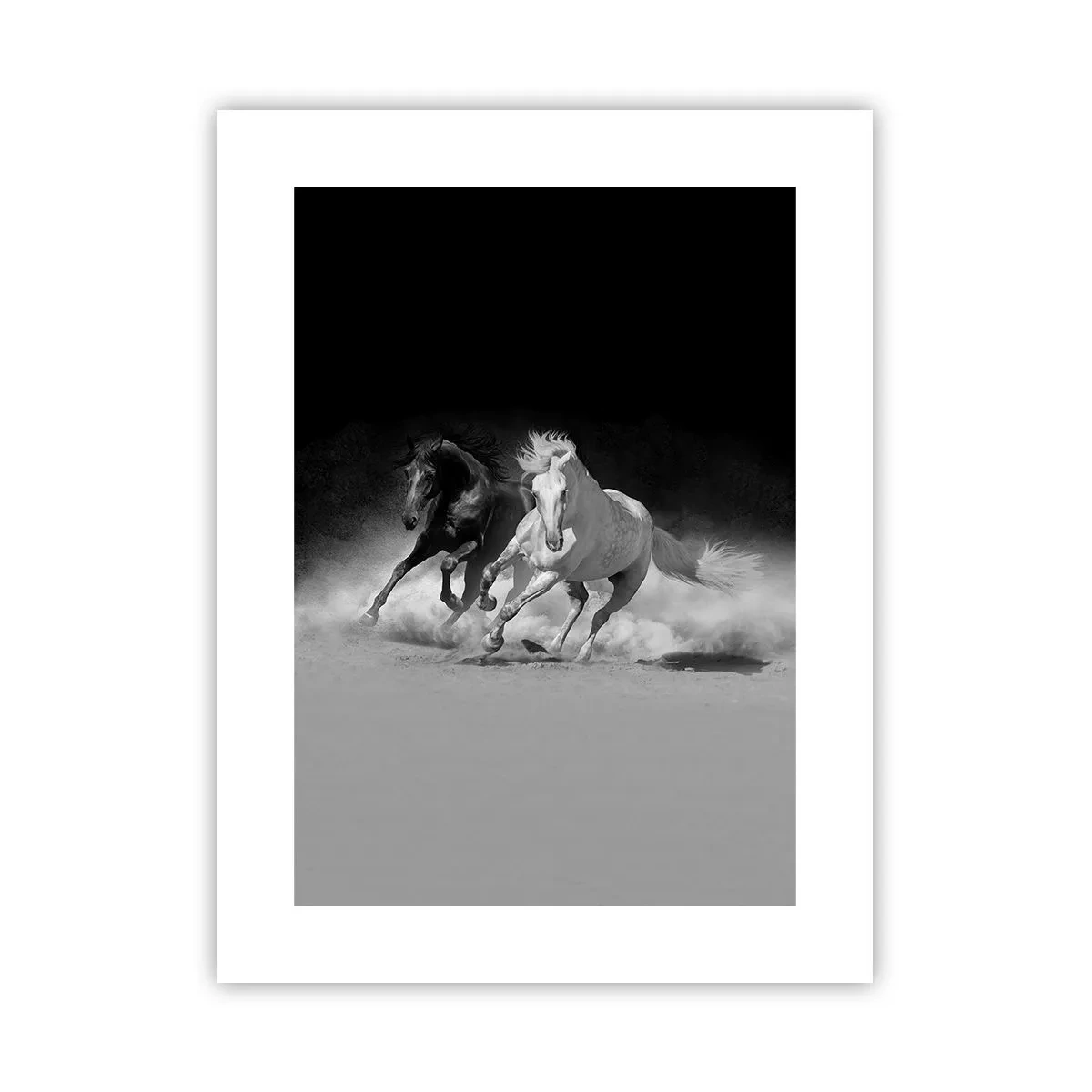 Poster - Il galoppo della libertà - 30x40 cm