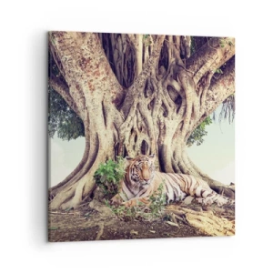 Quadro su tela - Stampe su Tela - Vista dal Libro della Genesi - 50x50 cm