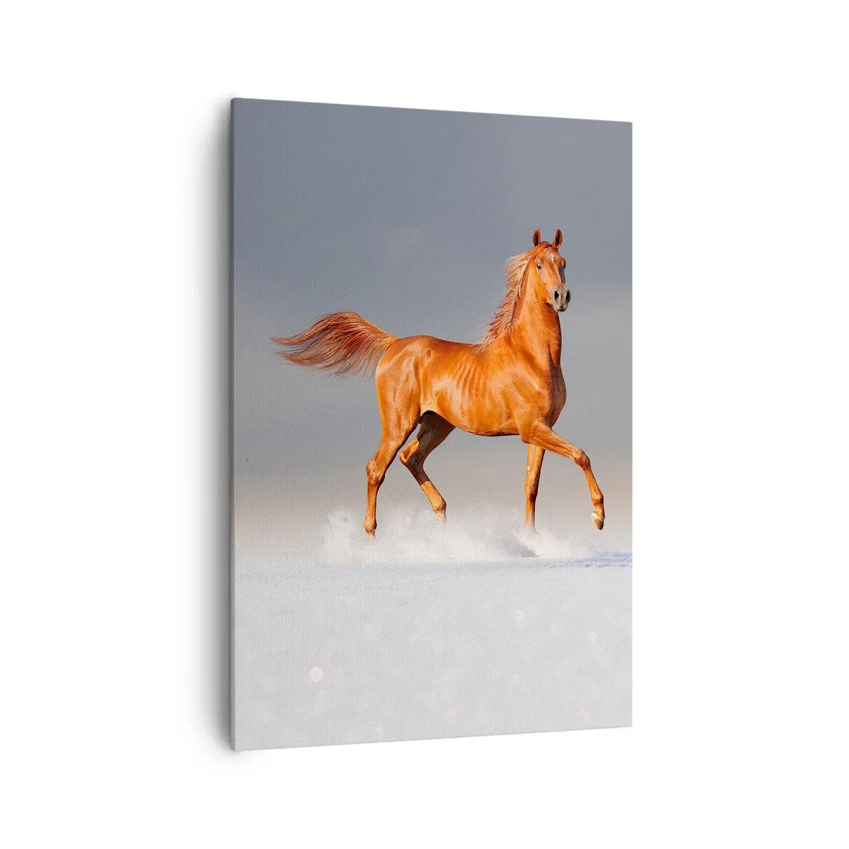 Quadro su tela - Stampe su Tela - Un cavallo al galoppo contro un cielo blu - 70x100cm - Grazia danzante - Decorazione murale moderna per soggiorno e camera da letto ARTTOR