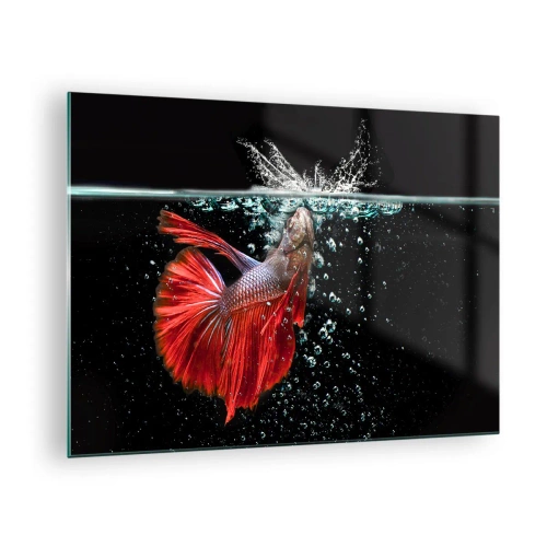 Quadro su vetro - Betta rosso in una composizione d'acqua dinamica - 70x50cm - Hai tre desideri - Decorazione murale moderna per soggiorno e camera da letto ARTTOR