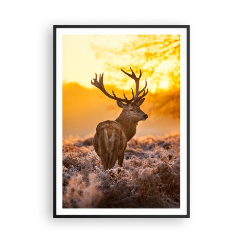 Poster in cornice nera - Il re del bosco estivo - 70x100 cm