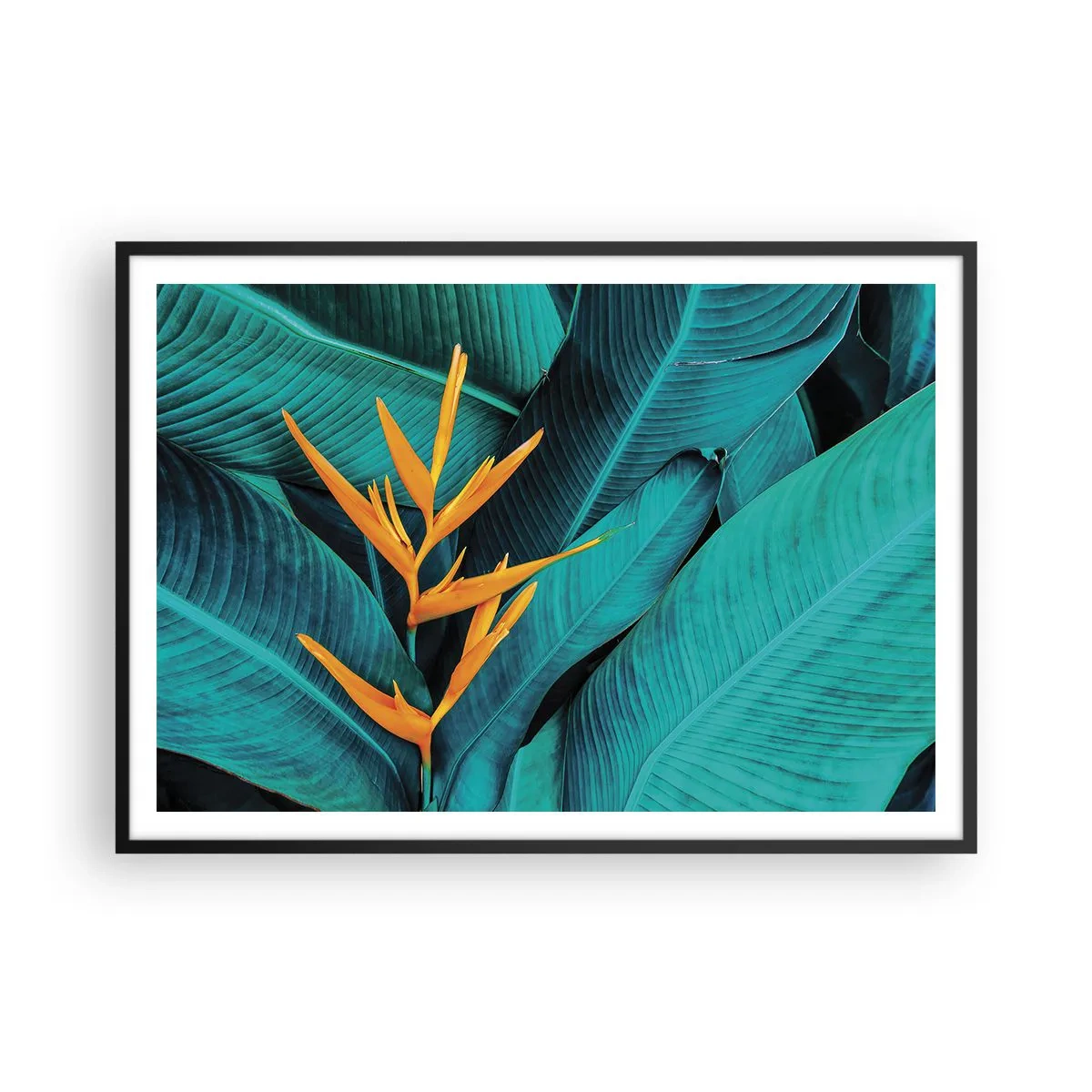 Poster in cornice nera - Un fiore esotico su uno sfondo di foglie di banano in tonalità turchesi. - 100x70cm - Il fiore dell'Eden - Decorazione murale moderna per soggiorno e camera da letto ARTTOR