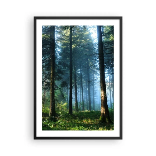 Poster in cornice nera - Foresta di conifere al sole del mattino e leggera nebbia - 50x70cm - Raggiante all'alba - Decorazione murale moderna per soggiorno e camera da letto ARTTOR