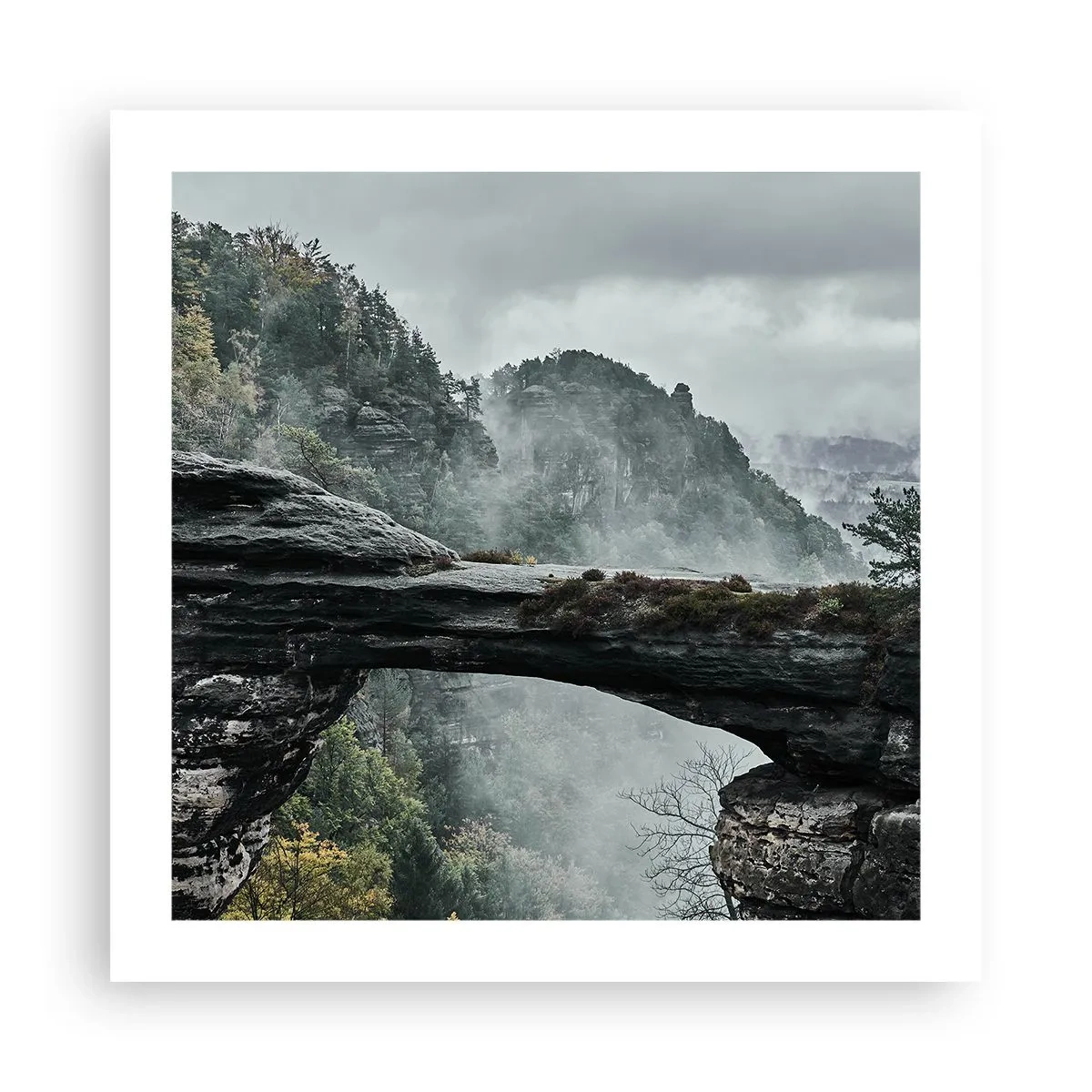 Poster - Qui inizia l'avventura - 50x50 cm