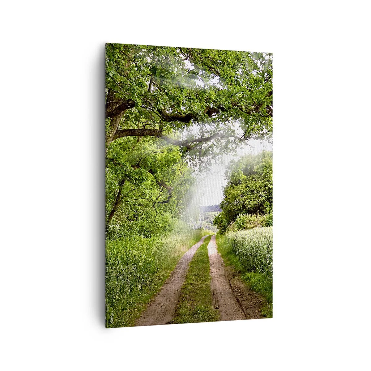 Quadro su tela - Stampe su Tela - Una strada sterrata tra alberi verdi e luce solare - 80x120cm - Et in Arcadia ego - Decorazione murale moderna per soggiorno e camera da letto ARTTOR