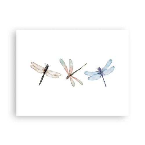 Poster - Libellule senza peso - 40x30 cm