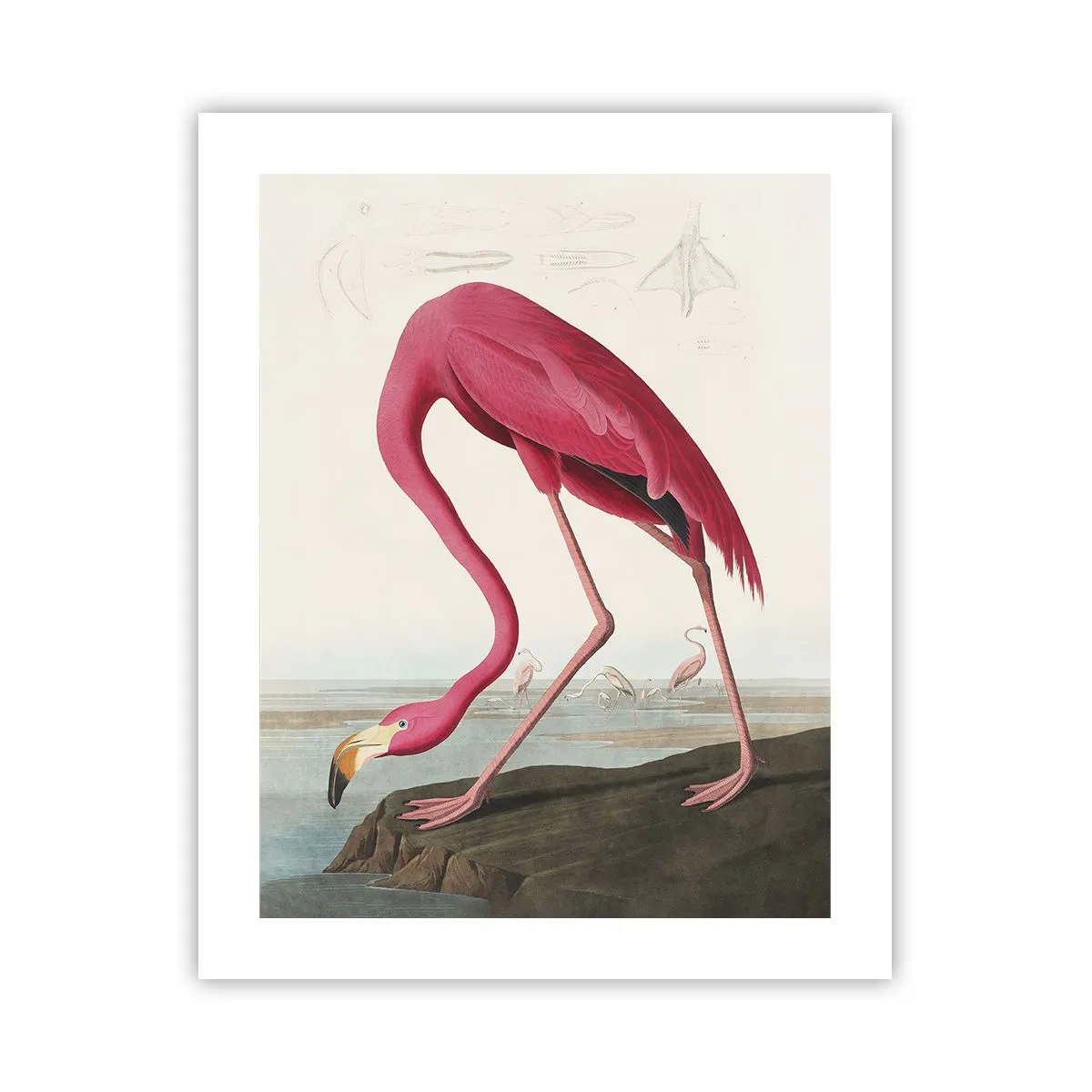 Poster - Creazione affascinante - 40x50 cm