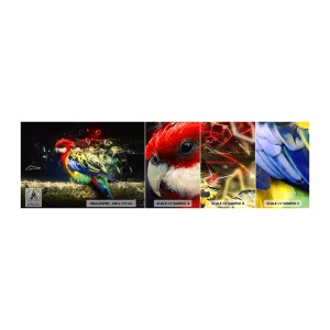 Campione Di Fotomurale Standard Eco - Messaggero di luce - Astrazione, Pappagallo, Uccello - 100x30 cm