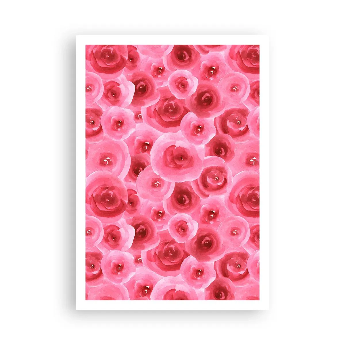 Poster - Rose in alto e in basso - 70x100 cm