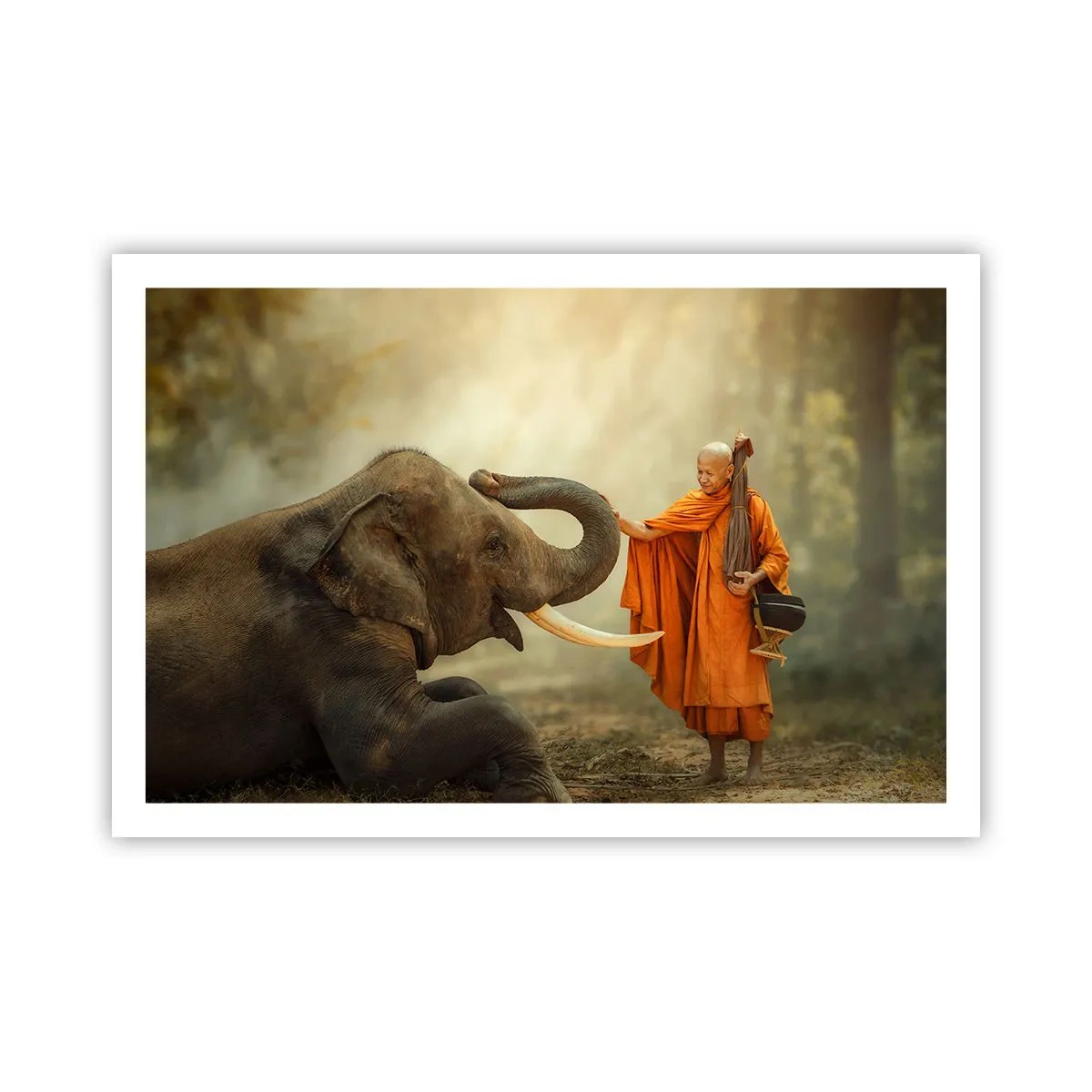 Poster - Incontro nel viaggio - 91x61 cm